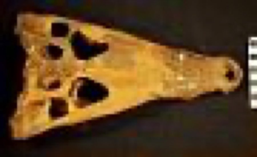 Borealosuchus — Borealosuchus sternbergii (Gilmore, 1910)